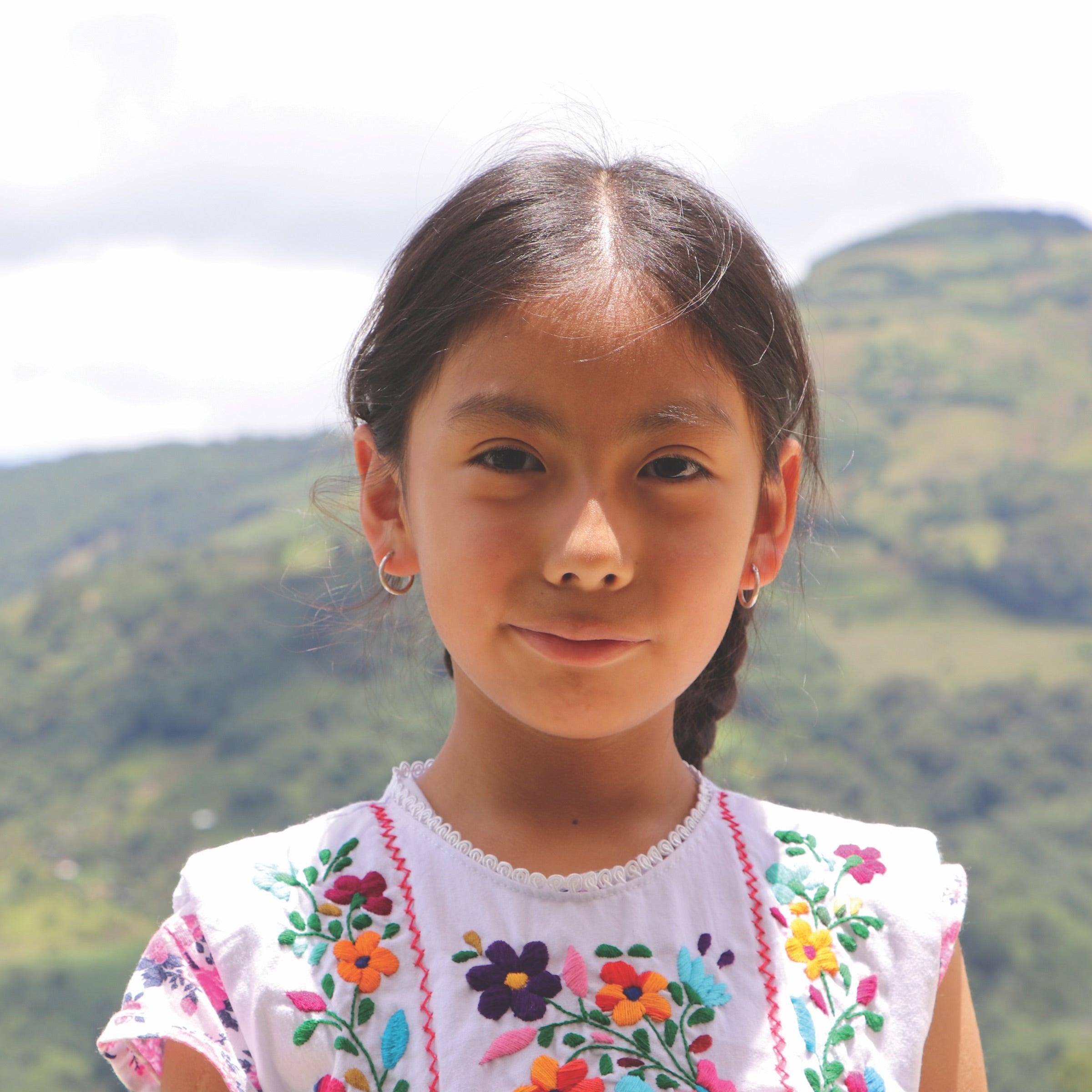 Solano Mexican Art dress