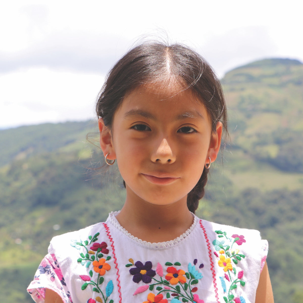Solano Mexican Art dress